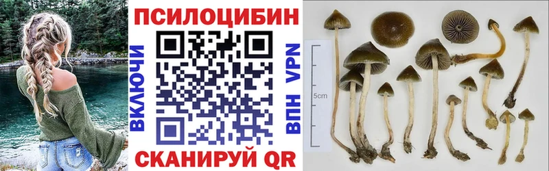 Псилоцибиновые грибы мицелий  hydra как войти  Спасск-Рязанский 